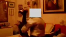 Kung fu ilmaiset suo ...