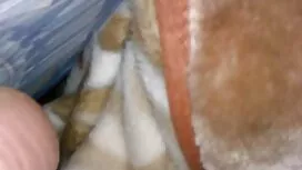 Blondi, julkkis, Sui ...